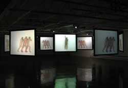 GALERIA.jpg